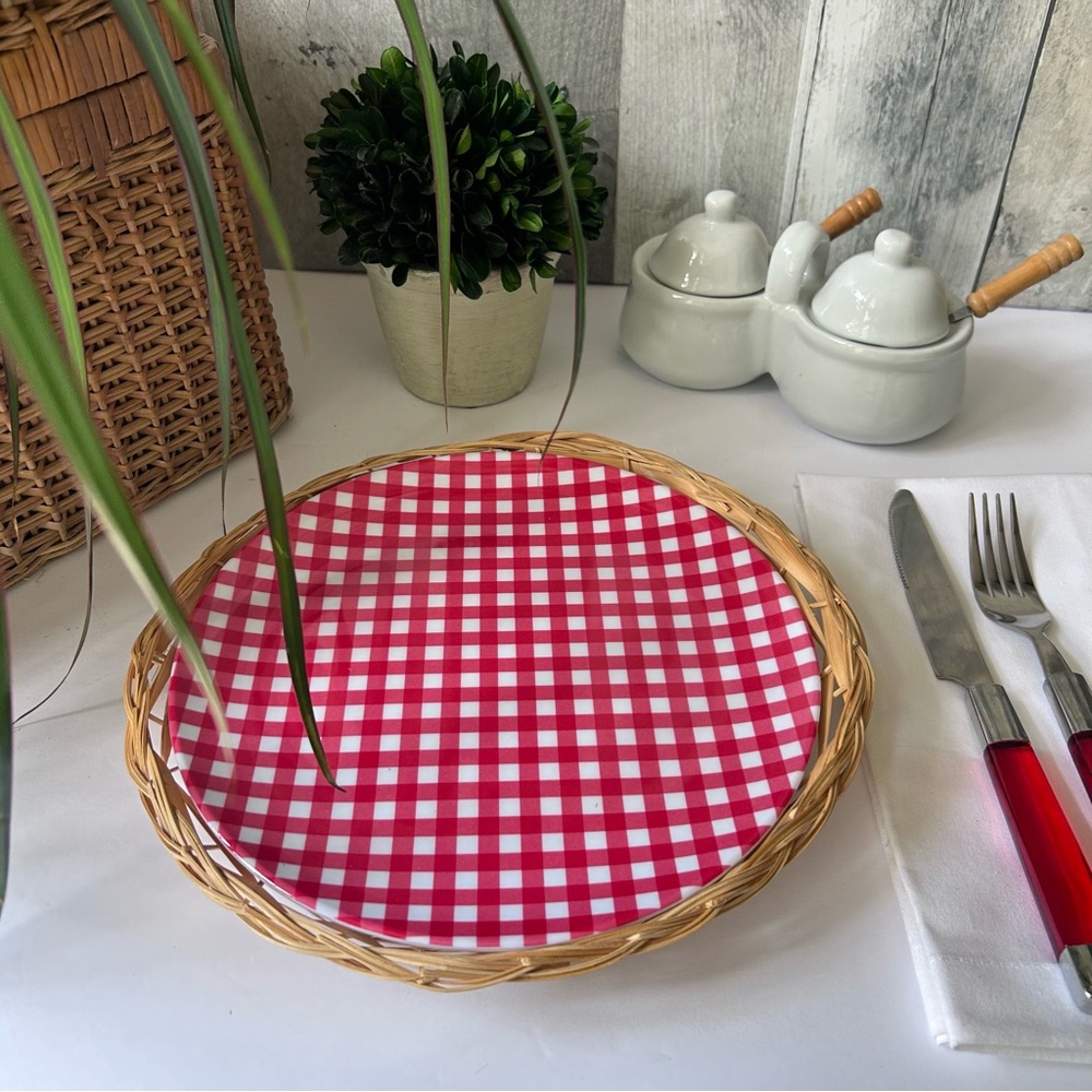 🌴Picnic Melamine Classic Gingham Red and White Dinnerware | Set of 4